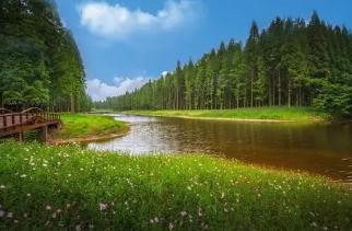 ��ҵ��̬����