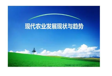 �ִ�ũҵ��չ
