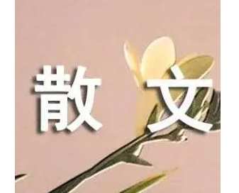 ɢ���Ķ�