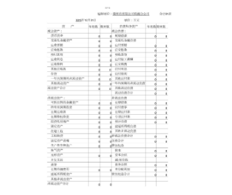 财务报表论文
