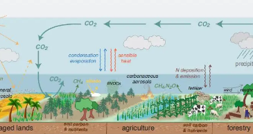樟树叶生物炭对挥发性有机物的吸附研究