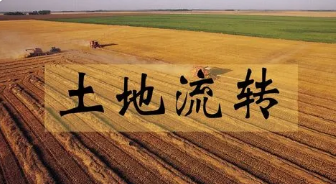 中国农户劳动力转移与土地流转决
