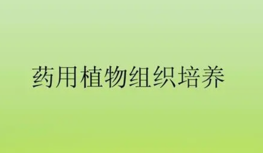 ҩ��ֲ����֯