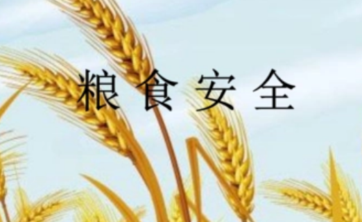 粮食安全