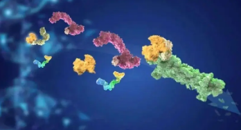 化合物微生物