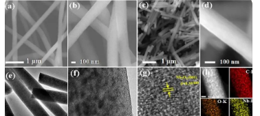 碳材料纳米纤维