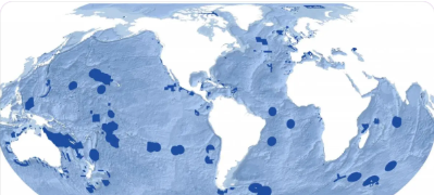 加强海洋生物碳泵地质演化的研究
