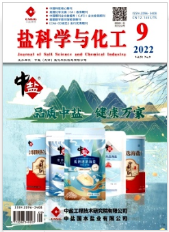 盐科学与化工