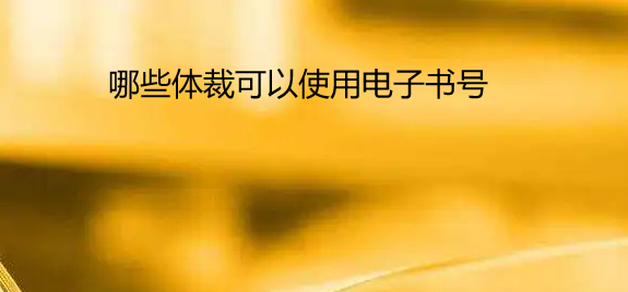 哪些体裁可以使用电子书号