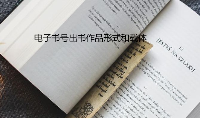电子书号出书作品形式和载体
