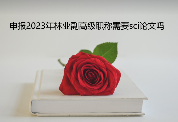 �걨2023����ҵ���߼�ְ����Ҫsci������