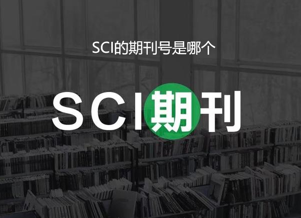 sci�ڿ������ĸ�