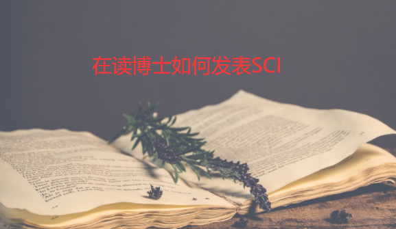 �ڶ���ʿ��η���sci����