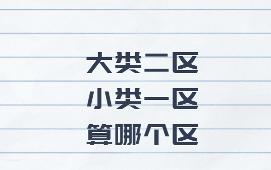 大类二区小类一区按哪个算
