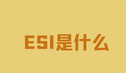 esi��ʲô