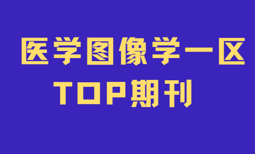 医学图像学一区top期刊