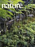 nature�ڿ�