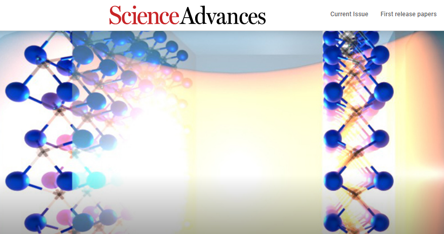 sci�ڿ�Ͷ��