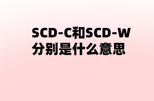 SCDC��SCDW�ֱ���ʲô��˼