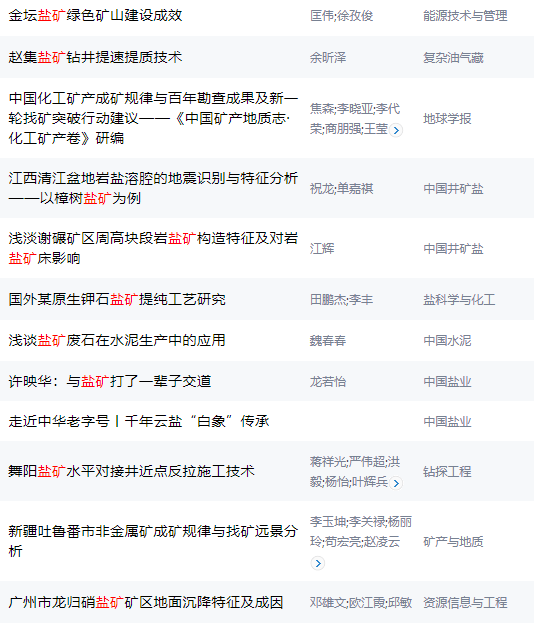 盐矿领域学术文献40篇
