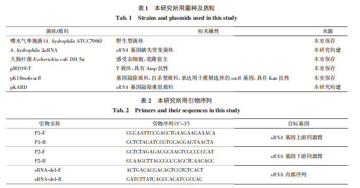 本研究所用菌种及质粒