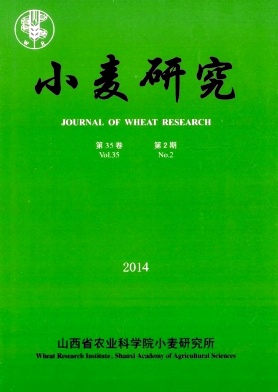 小麦研究