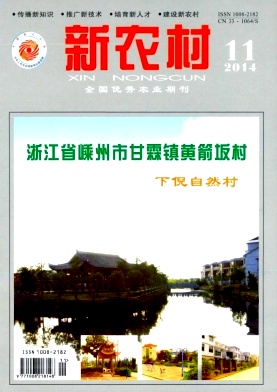 新农村