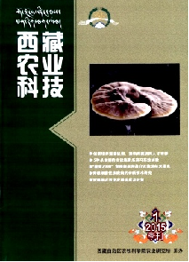 ����ũҵ�Ƽ�