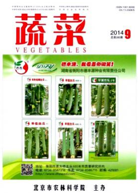 蔬菜