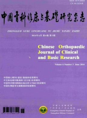 《中国骨科临床与基础研究》省级