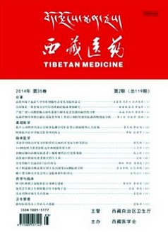 临床医学论文