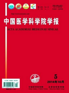 护理论文