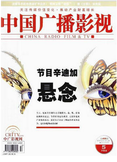 影视研究生论文