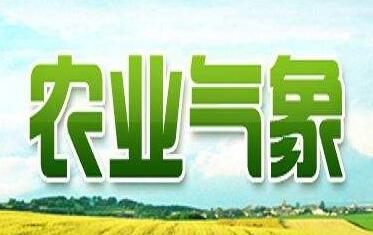 ũҵ����ѧ���ķ���