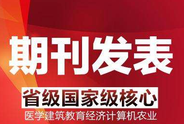 论文发表