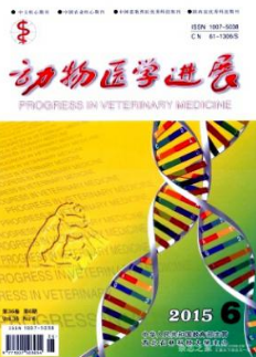 动物医学进展