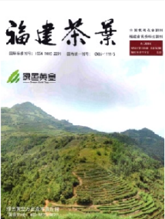 福建茶叶