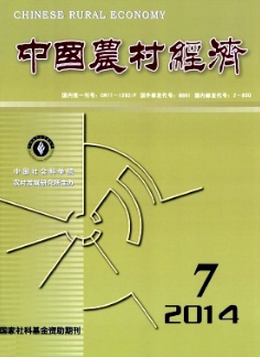 中国农村经济
