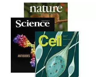sci���Ĺ�ͬһ��