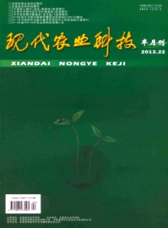 �ִ�ũҵ�Ƽ�