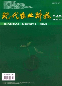 �ִ�ũҵ�Ƽ�