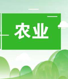 ũҵ����