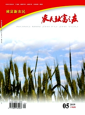 ũ���¸�֮��