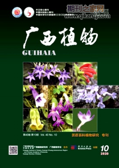 广西植物