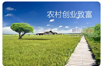 农村经济发展