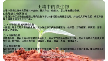 土壤微生物