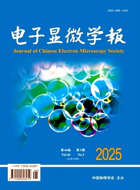 电子显微学报杂志