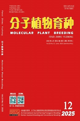 分子植物育种杂志