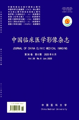 中国临床医学影像杂志