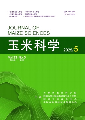 玉米科学杂志